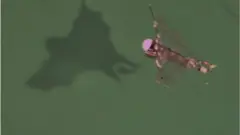 বাদুর-সদৃশ্য ড্রোন