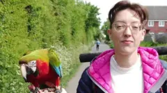 PARROT