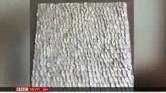 သရက်သီးခြောက်တွေနဲ့ ချုပ်ထားတဲ့ ဝတ်စုံ