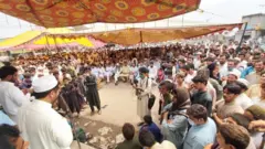 دہشتگردی