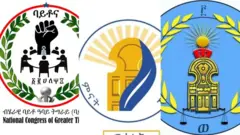 ኣርማ ሰለስቲአን ሰልፊታት ተቓውሞ ፖለቲካ ትግራይ