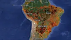 Incendios captados en América del Sur por Global Forest Watch.
