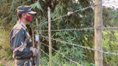 ভারত - বাংলাদেশ সীমান্তে বিএসএফ প্রহরা