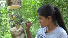 අවිත්තාව සිත්තරාවිය