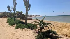 Aperçu du paysage de la ville de Dakhla