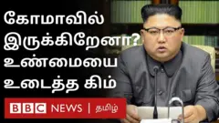 கிம்