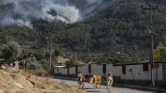 Yangın