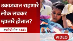 सोपी गोष्ट : उष्ण प्रदेशात राहून मधूमेह, हृदयरोग लवकर होतात का?
