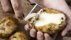 আলু