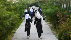 افغانستان نجونې