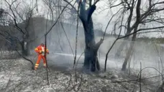 EPA