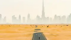 كيف تتصدى دبي لصحاريها الزاحفة؟