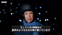 リース・ドゥセット国際報道主任特派員