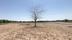 गुजरात