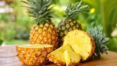 La maturation du noyau de l'ananas dure trois ans.