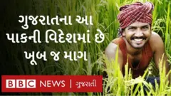 ગુજરાતના ખેડૂત