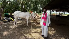 पशु के साथ किसान