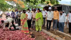 लासलगाव, कांदा, बाजारसमिती