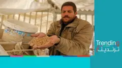 استخدام أعلاف الحيوانات كغذاء للسكان في شمال غزة