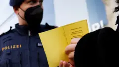 Вена