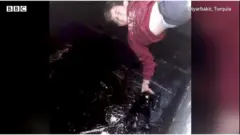 Pendurado de cabeça para baixo, menino salva animal