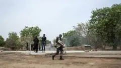 Hari a Damboa