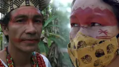 indigenous