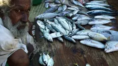 இலங்கை மீனவர்கள்