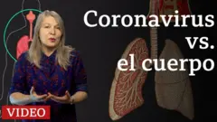 Imagen de video sobre el coronavirus y el cuerpo