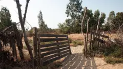 مازندران