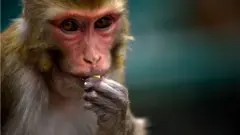 પ્રતીકાત્મક