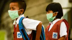 indonesia wild fire