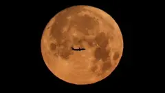 د توتۍ، غزال او سپي کب ترمنځ مشترکات څه دي؟ دا ټول نومونه په ۲۰۲۲ کال کې لویې سپوږمۍ ته اخیستل شوي. خو لویه سپوږمۍ څه شی ده؟‌ نور په دې وېډیو کې کتلی شئ.