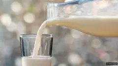 حليب