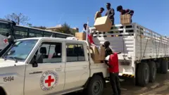 ሰራሕተኛታት ቀይሕ መስቀልን ወለንተኛታት ኣብ ትግራይ ዝበጽሐ ረዲኤት ቀይሕ መስቀል እናራገፉ