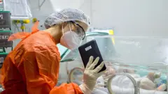 Médica muestra a un bebé a través de videollamada
