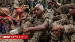 Tigray