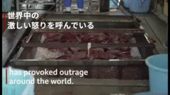 捕鯨