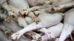 ชิ้นส่วนหมูหลังถูกเชือด