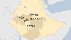 ካርታ
