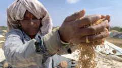 తడిచిన ధాన్యాన్ని ఆరబోస్తున్న మహిళ