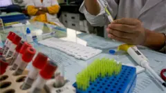 Lab testing