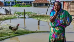 বগুড়ায় বন্যায় নিজ গ্রামের তলিয়ে যাওয়া বাড়ি-ঘরের মাঝে একজন নারী, ১৭/০৭/২০২০