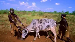 Uummata Mursii