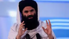 حقانی