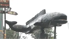Aworan Ẹja Ẹrin