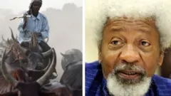 Aworan Soyinka ati darandaran