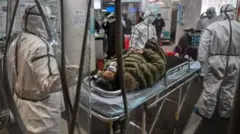 Corona virus