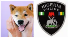 Aworan afihan aja ati ami idanimo olopaa