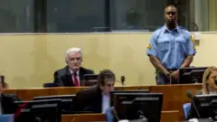 Bosnalı Sırpların eski lideri Radovan Karadziç'i yargılanırken gösteren bir fotoğraf